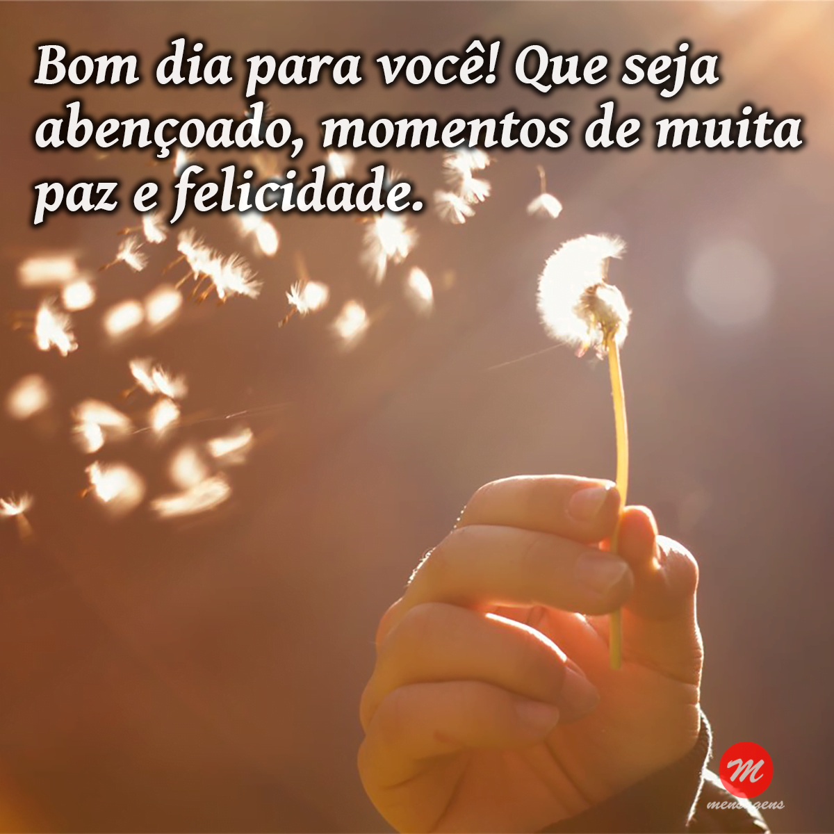 Frase bom dia abençoado: Frase bom dia abençoado: