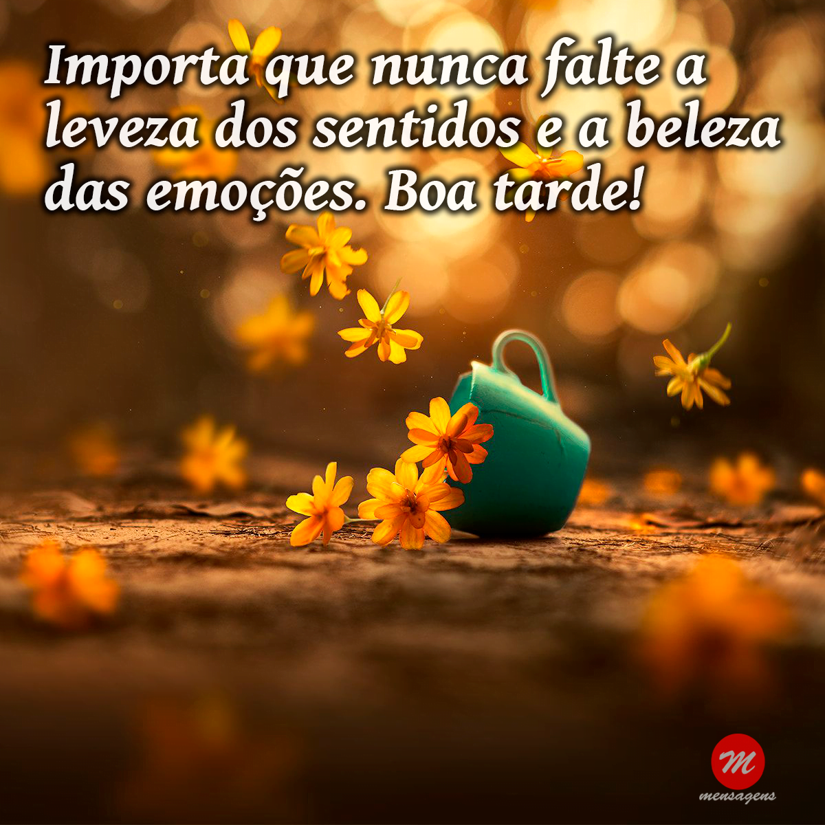 Frase de boa tarde perfeita: Frase de boa tarde perfeita: