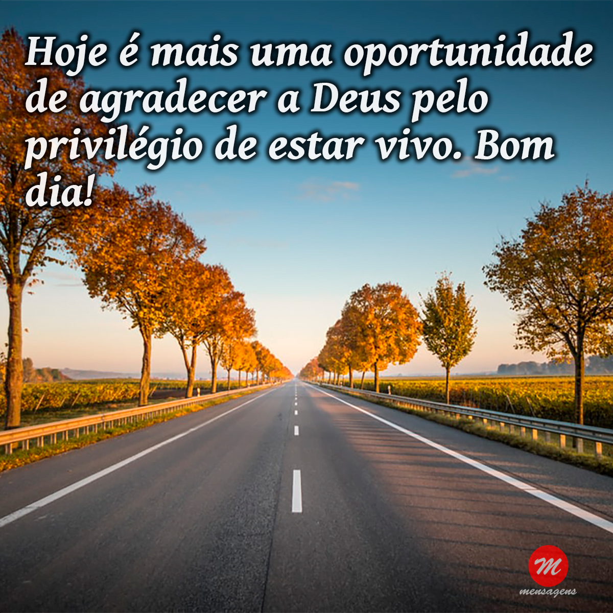 Frase de bom dia agradecimento: Frase de bom dia agradecimento: