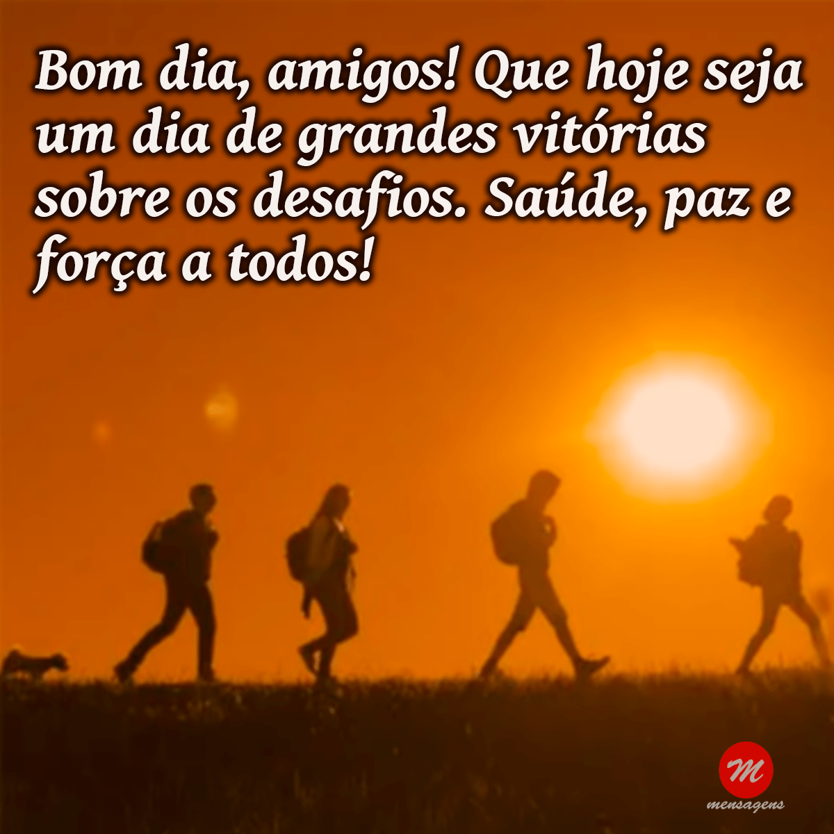 Frase de bom dia amigo especial: Frase de bom dia amigo especial: