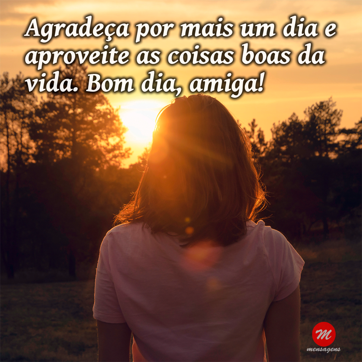 Frase de bom dia carinhosa: Frase de bom dia carinhosa: