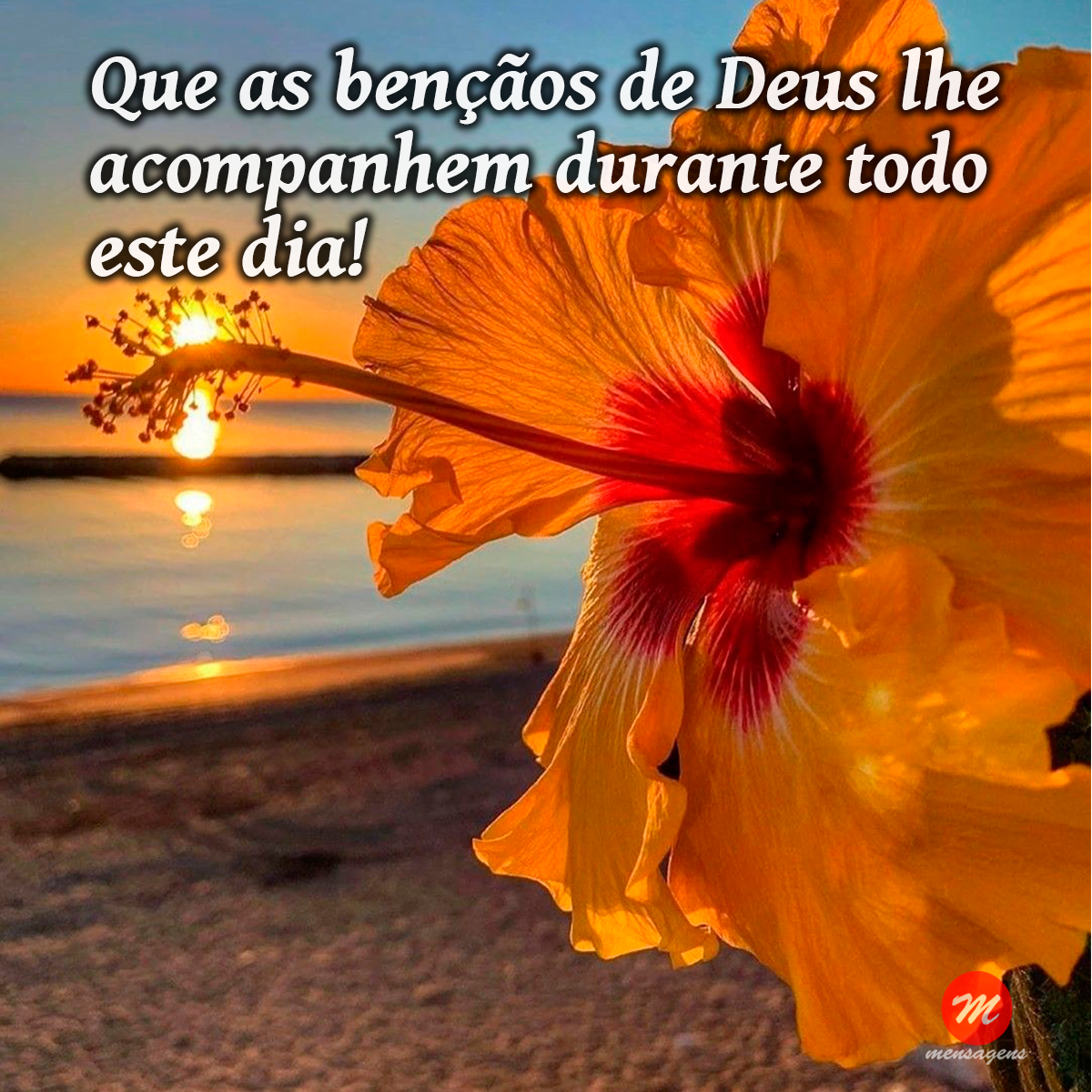 Frase de bom dia de Deus: Frase de bom dia de Deus: