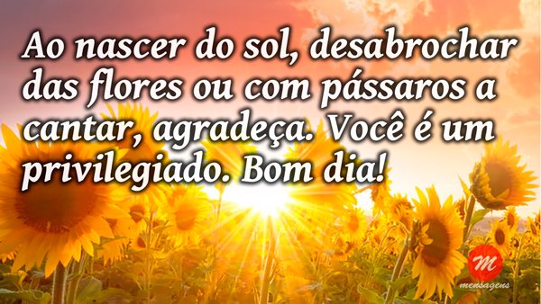 Mensagem de bom dia com sol e flores: Mensagem de bom dia com sol e flores:
