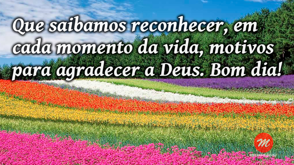Mensagem De Bom Dia Quinta Feira Fotos Amanheceu Que Este Seja Mensagem De Bom Dia Quinta Feira Fotos Amanheceu Que Este Seja