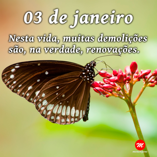 Mensagem de 03 de janeiro
