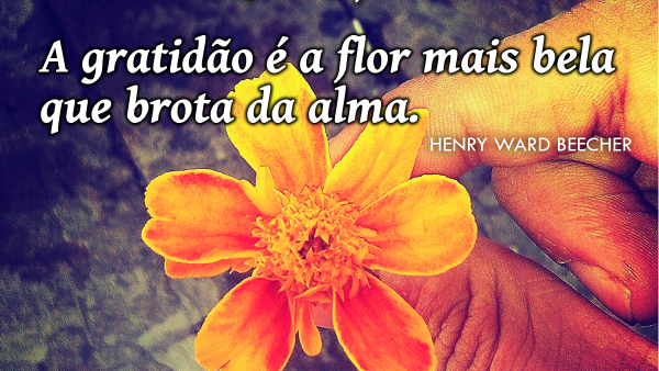 Mensagem de 04 de Novembro