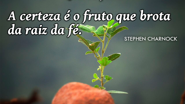 Mensagem de 10 de novembro
