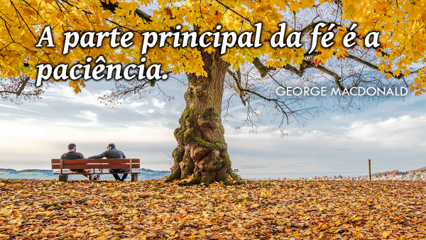 Mensagem de 11 de dezembro