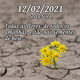 Mensagem de 12 de Fevereiro