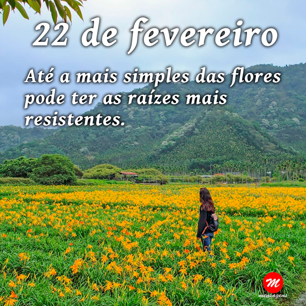 Mensagem de 22 de fevereiro