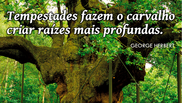 Mensagem de 24 de Novembro