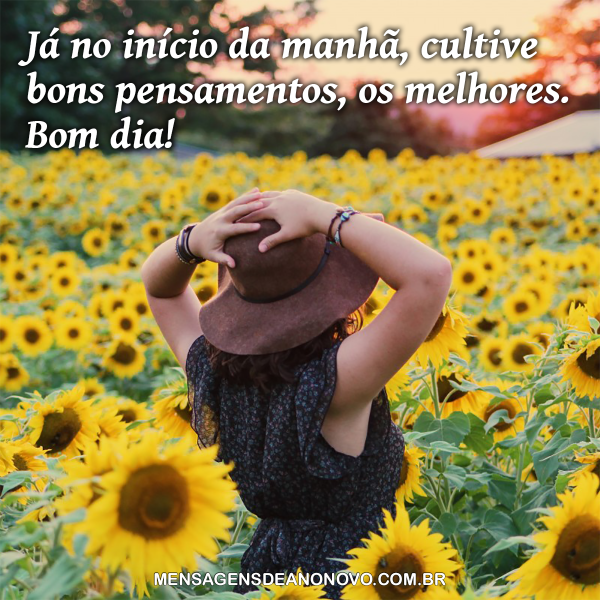 Mensagem de bom dia pensamento positivo